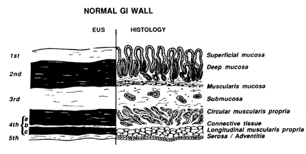 Fig. 13.1a